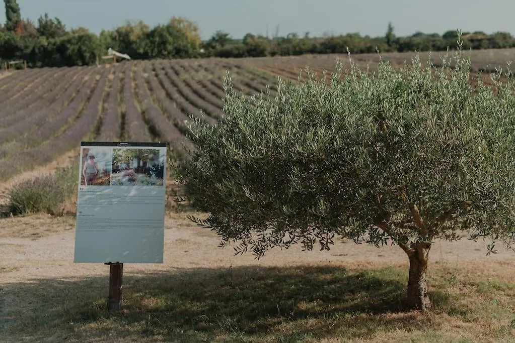 Terre Ugo - Studio Campagne Aixoise #5 Aix-en-Provence 0*,  Frankrig
